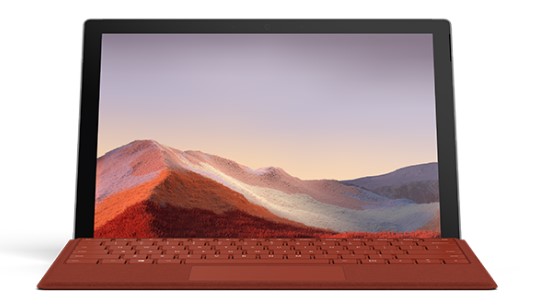 瑞安清洁和维护 Surface